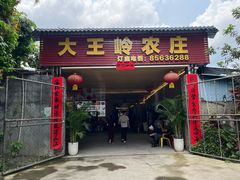 -大王岭农庄