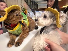 -瑞虹新天地月亮湾
