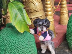 -品德宏·孔雀宴的发源地(金塔园店)