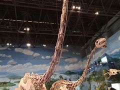 -自贡恐龙博物馆