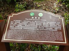 -缙云山景区