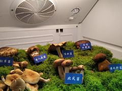 -束河人家(南锣鼓巷店)