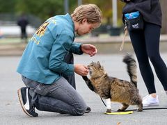 -UME影城(安贞DTS:X店)