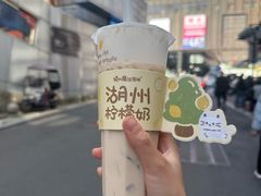 -猫的魔法密林(衣裳街店)