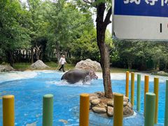 -常州淹城野生动物世界