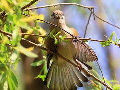 -白鹭湾湿地公园