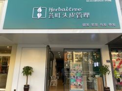 -菩叶脱发白发中心