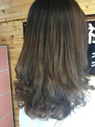 -镁连社·美联社