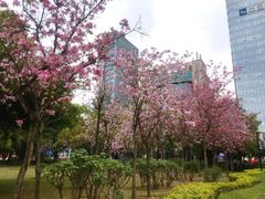 -南宁南湖公园