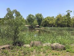 -同里国家湿地公园