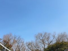 -名骏车业(园区星明店)