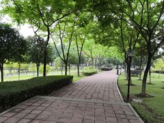 -西南政法大学(渝北校区)