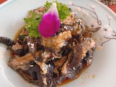 去骨乌鸡凤爪-赵小姐丨新中餐(曲江店)