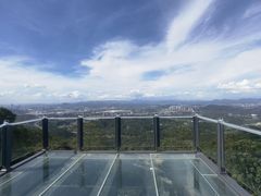 -黄埔油麻山森林公园