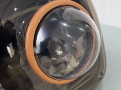 -中农国际动物医院24小时·猫科·骨科·急重症中心