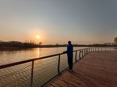 -东郊湿地公园