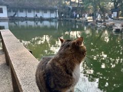 -西园戒幢律寺