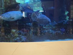-北里·4k影院式足疗SPA馆(观音桥店)