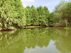 -梁鸿国家湿地公园