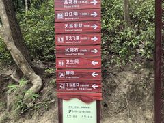 -广州白江湖森林公园