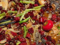 -老板恋上鱼(恒隆广场店)