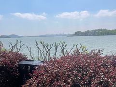 -东湖落雁景区