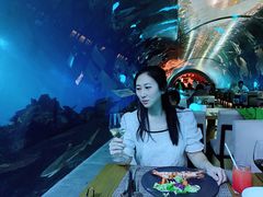 -海棠湾洲际-涛·海底餐厅·美人鱼·自助餐·海底隧道
