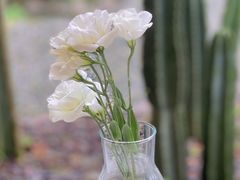 -MOJ coffee(瓯海泽雅水碓坑店)