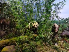 -陕西自然博物馆