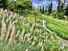 -深圳大学总医院