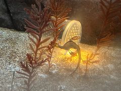 -上海海洋水族馆