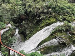 -鹿院坪生态旅游景区