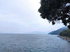 -千岛湖东南湖区