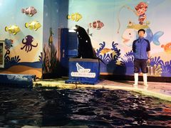 -太平洋海底世界