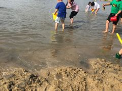 -上海月湖雕塑公园