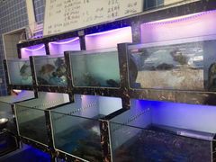 水产区-众味海鲜大排档·活海鲜·潮汕味(南澳店)
