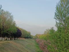 -渭河城市绿地运动公园