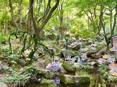 -波尔登森林公园