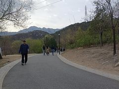-白水寺森林公园