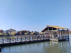 -溱湖国家湿地公园