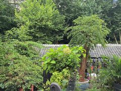 -院8里·少城记忆老川菜(宽窄巷子店)