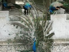 -南京金牛湖风景区