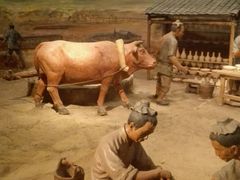 -平顶山博物馆