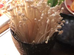 -九鼎轩脆毛肚火锅(铜山万达店)