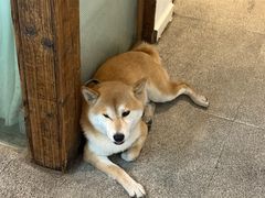 -三目仓咖啡(贤南路店)