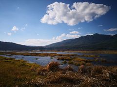-腾冲北海湿地