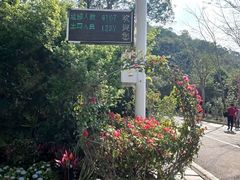 -梧桐山风景名胜区