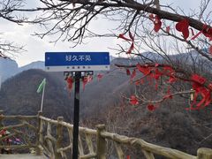 -爱情山风景区
