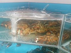 -王大厨·海鲜·家常菜