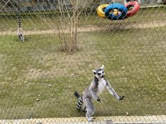 -哈尔滨北方森林动物园